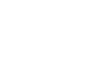 The Bodhi Tree Holistic Health Solutions logo