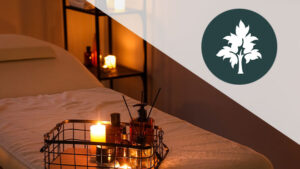 Bodhi Tree Holistic logo combined with a calming spa and massage room background with some lit candles and essential oils